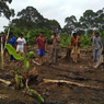 Mengenal Manugal, Kearifan Lokal Bercocok Tanam dari Kalimantan Tengah