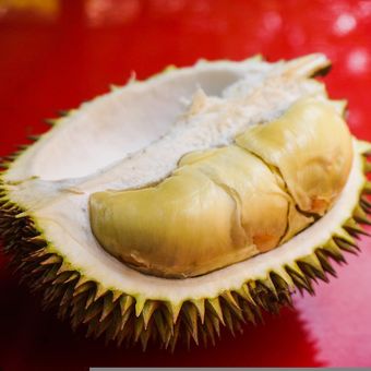 Ilustrasi durian, buah durian.