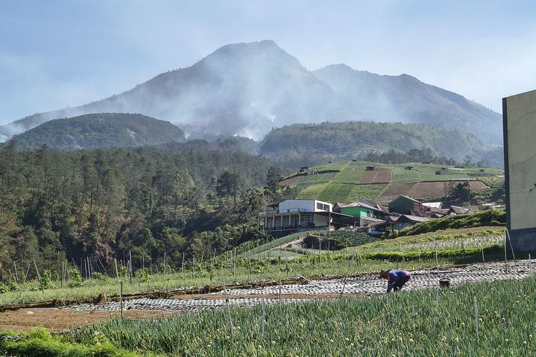 BPBD Harap Penanganan Karhutla di Lereng Lawu Bisa Pakai Water Bombing