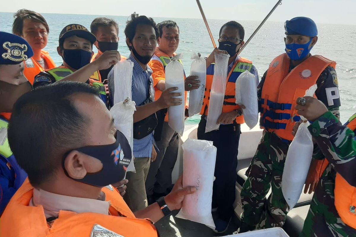 Pelepasliaran 31.065 ekor benih bening lobster (Puerulus) hasil selundupan di perairan Gili Ketapang, Probolinggo, Jawa Timur. 