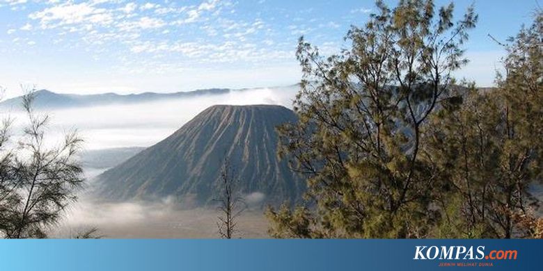 Tips Wisata Ke Gunung Bromo Dari Jakarta Halaman All