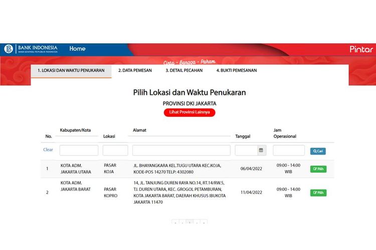 Tangkapan layar laman PINTAR Bank Indonesia