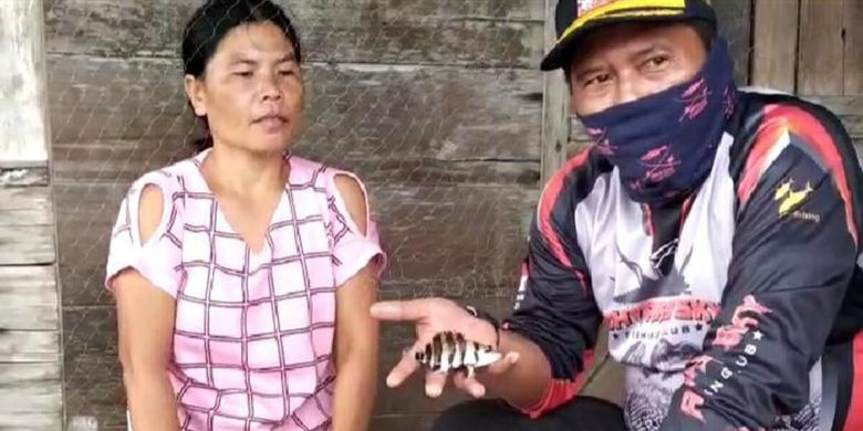 Harga Jual Mencapai Rp 25 Juta, Tiger Fish Ramai Diburu Warga - Kompas.com - KOMPAS.com