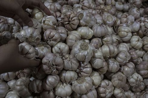 Corona Jadi Penyebab Bawang Putih Mahal?