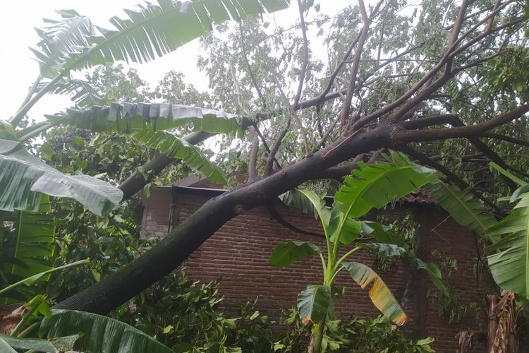 Kondisi bangunan dan rumah penduduk di Dusun Sawahan, Desa Barongsawahan, Kecamatan Bandar Kedungmulyo, Kabupaten Jombang, Jawa Timur, usai diterjang angin kencang, Minggu (6/11/2022).