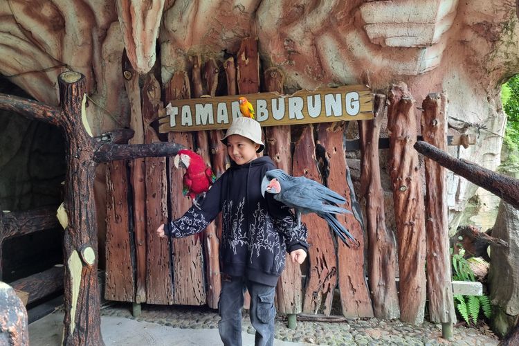 Wisatawan sedang berfoto dengan burung di Taman Burung.