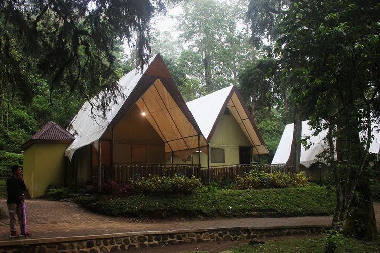 15 penginapan glamping yang dikelola mojosemi forest park saat ini juga telah full booking hingga tanggal 5 Januari mendatang.