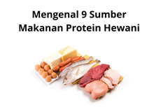 Mengenal 9 Sumber Makanan Protein Hewani