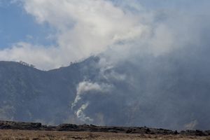 Luas Area Terdampak Kebakaran Bromo Bertambah 270 Hektar dalam Sehari