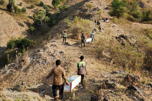 6 Ekor Komodo yang Dilepasliarkan di Labuan Bajo Lahir Tahun 2020