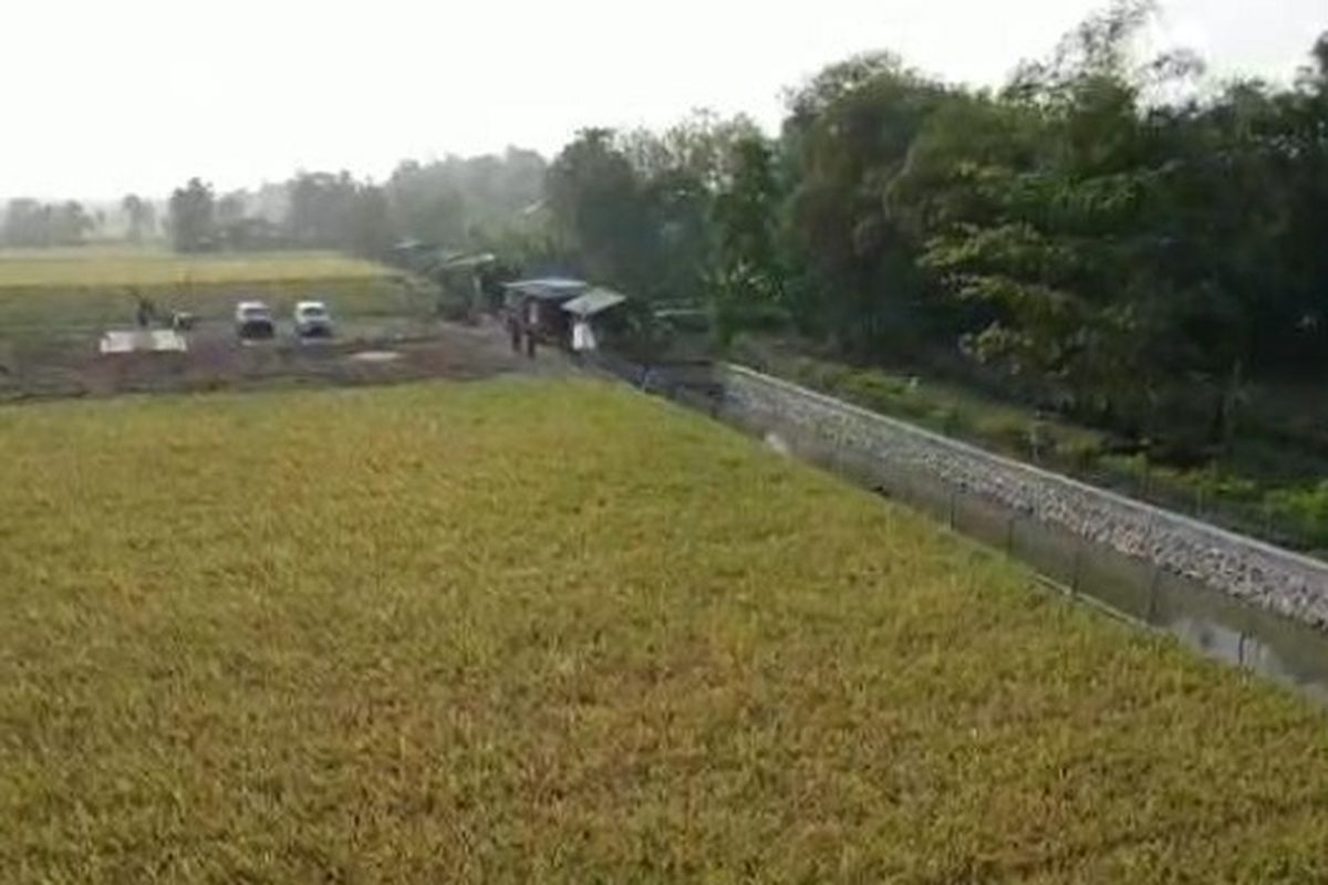 Embung peternakan, di lokasi Kelompok Ternak Sri Sumber Tirta I, Desa Cangkingan, Kecamatan Kedokanbunder, Jumat (31/7/2020).