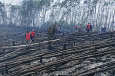 3.207 Hektare Lahan Gambut dan Tanah Mineral Kebakaran hingga April 2025