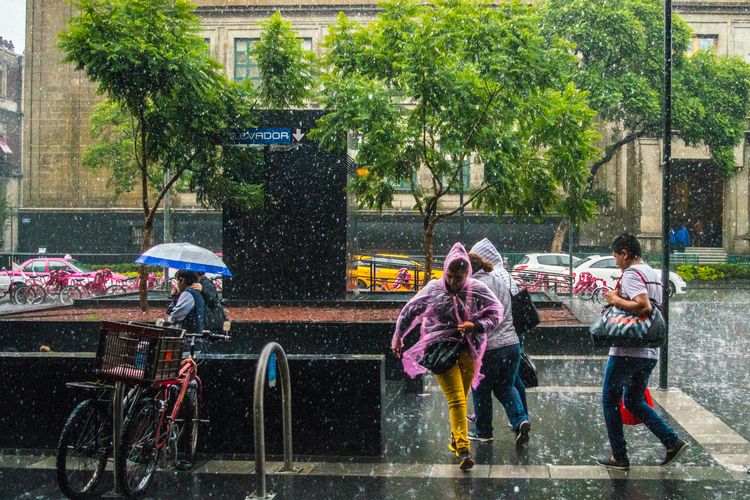 BMKG Peringatkan Hujan Lebat dan Angin Kencang Besok 30 Juli 2026, Ini Daftar Wilayahnya