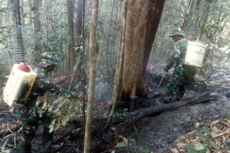 TNI dan warga di Perbatasan berupaya memadamkan api, Selasa (5/3/2019)