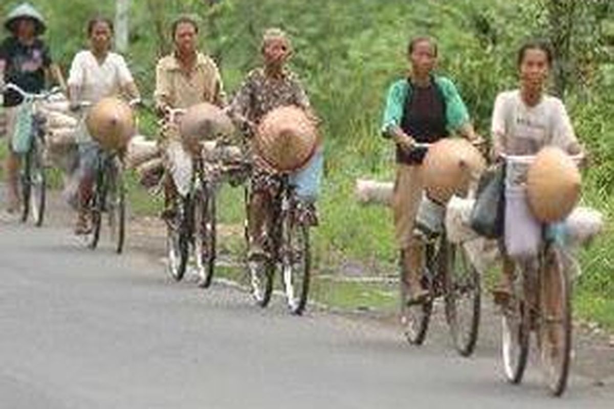 Buruh tani selalu menghiasi jalan-jalan di pedesaan, terutama saat memasuki musim panen dan masa tanam, seperti di Dusun Bletuk, Sidorejo, Godean, Sleman