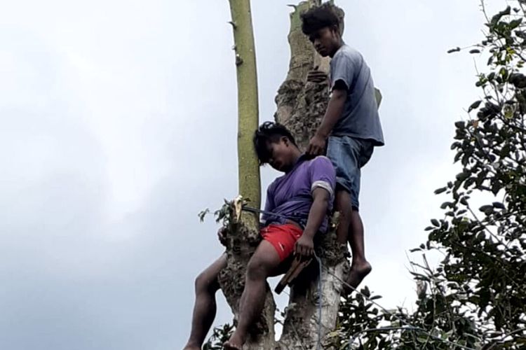 Petugas pemadam kebakaran Kabupaten Blitar menurunkan Deni Samuel yang jatuh pingsan di pohon dengan ketinggian 10 meter saat mencari daun pakan ternak, Jumat (31/12/2021)