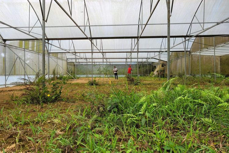 Proyek pembangunan green house melon di Desa Sokawera, Kecamatan Cilongok, Kabupaten Banyumas, Jawa Tengah, mangkrak, Kamis (12/1/2023)
