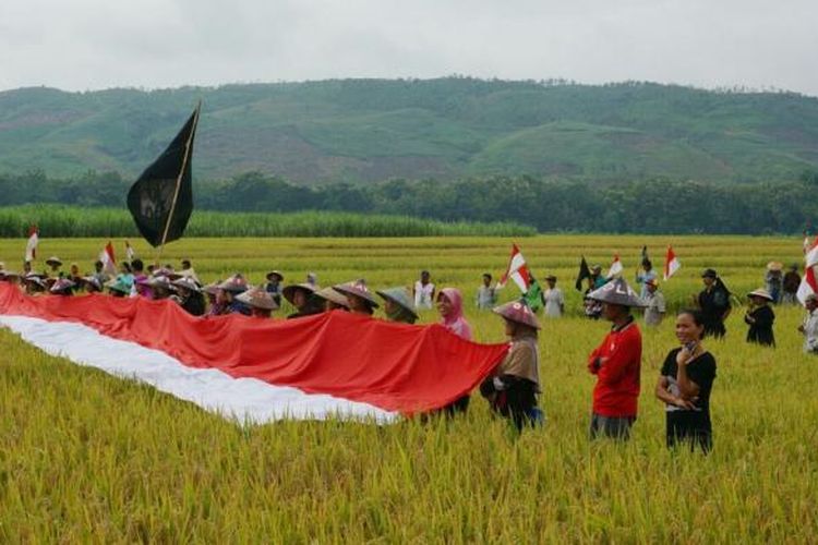 Warga Kendeng dari Kabupaten Pati melakukan panen raya di lahan pertanian mereka, Kamis (26/1/2017) pagi tadi. Foto: Dok. JMPPK Pati.