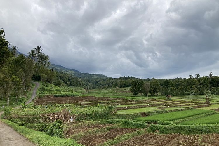 Pemandangan hamparan sawah yang ada pada jalur kecil menuju Pos Cibunar di kaki Gunung Ciremai, Desa Linggarjati, Kecamatan Cilimus, Kabupaten Kuningan, Jawa Barat, Sabtu (3/4/2021).