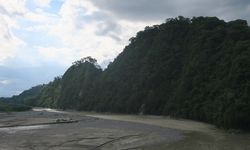 Konsep Daun, Cara Masyarakat NTT Paham Daerah Aliran Sungai