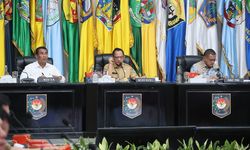 Perkuat Ketahanan Pangan Nasional, Mendagri Dorong Pemda Tingkatkan Produksi Beras