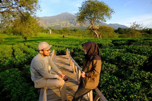 Kebun Teh Wonosari Malang, Camping Bermalam di Tengah Kebun Teh