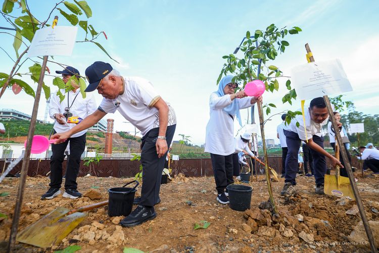 Hijaukan IKN, Otorita Tanam 712 Bibit Pohon