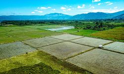 GHG Protocol Luncurkan Standar Global Baru, Hitung Emisi Sektor Lahan