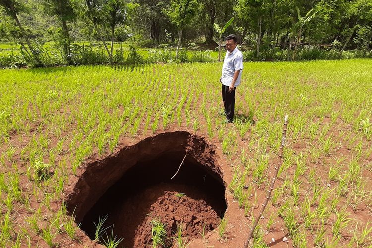 Muncul Lubang di Lahan Pertanian di Desa Karangawen, Kecamatan Girisubo, Kabupaten Gunungkidul. Senin (6/1/2020)