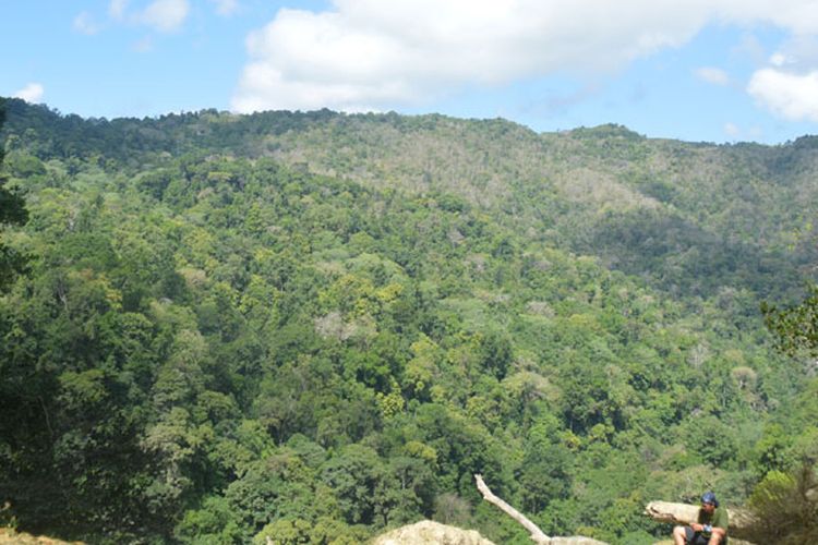 Kawasan Taman Nasional MataLawa di Pulau Sumba, NTT.