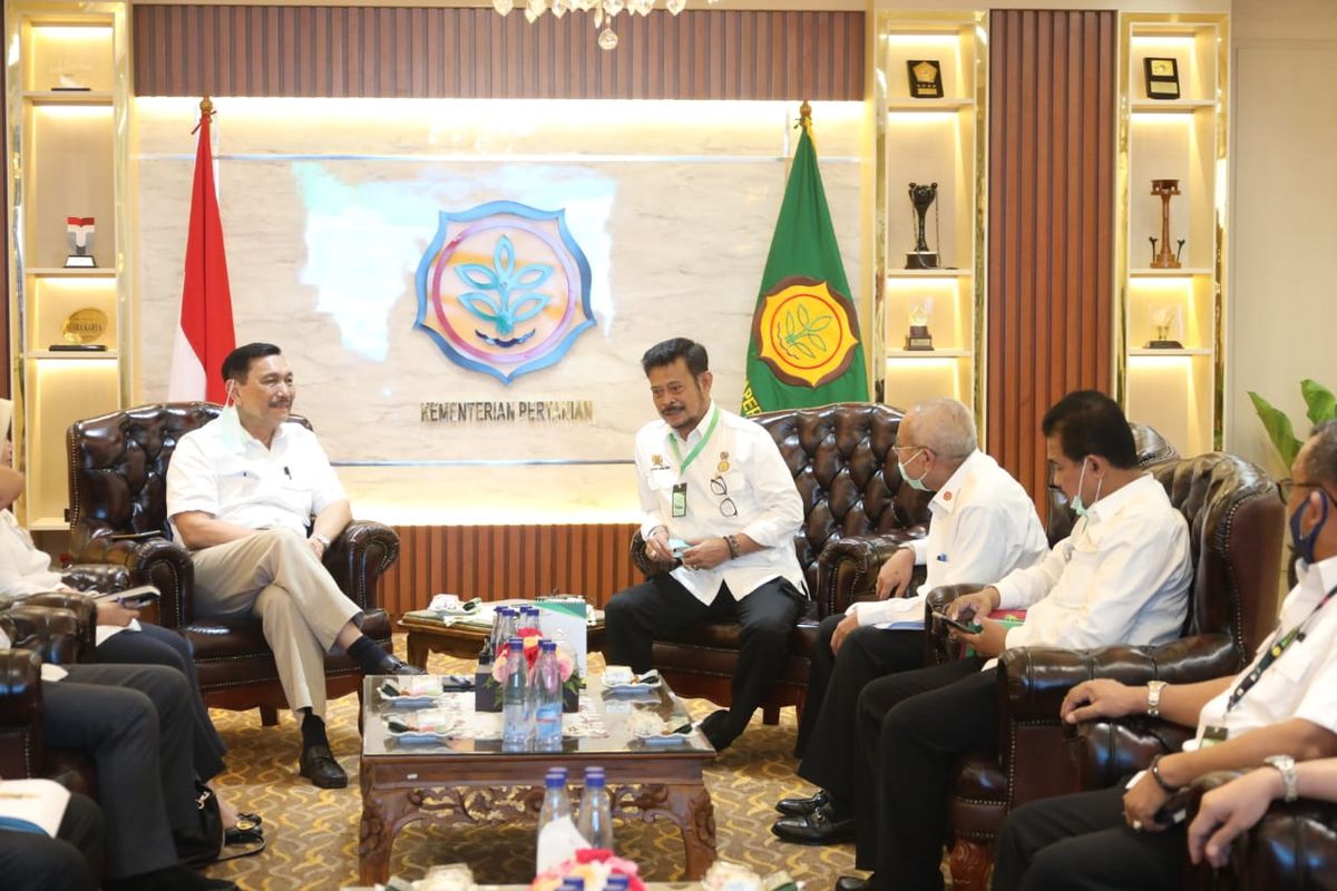 Menko Bidang Kemaritiman dan Investasi Luhut Binsar Pandjaitan berkoordinasi dengan Menteri Pertanian Syahrul Yasin Limpo bahas lumbung pangan di Jakarta, Rabu (1/7/2020).
