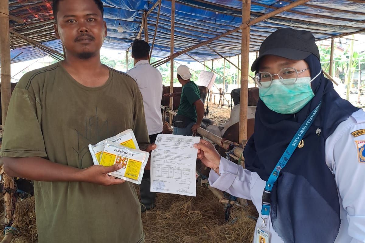 Tips memilih hewan kurban yang sehat menurut Sudin KPKP Jakarta Utara.