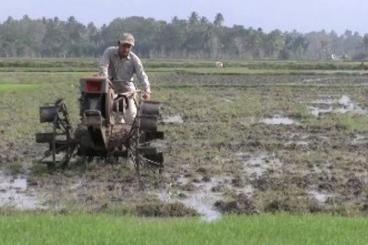Ilustrasi petani mengolah lahan memakai traktor tangan
