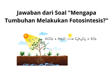 Jawaban dari Soal "Mengapa Tumbuhan Melakukan Fotosintesis?"