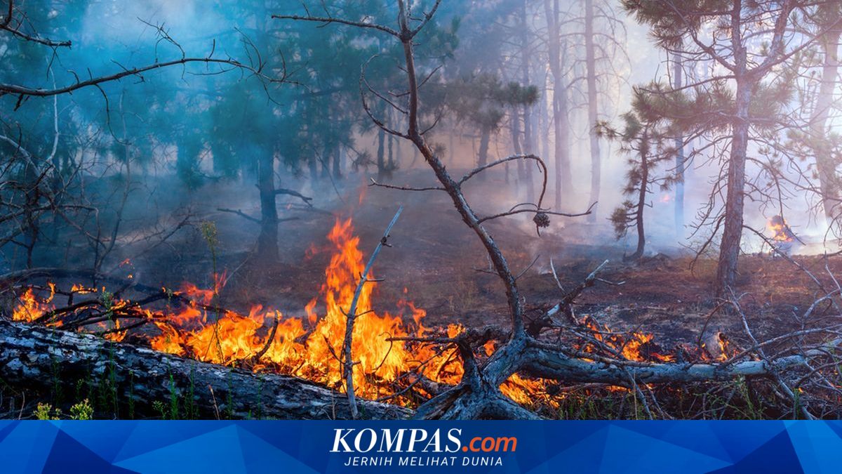 27 Kecamatan di Kabupaten Bandung Rawan Kekeringan, BPBD Tetapkan Status Siaga Darurat
