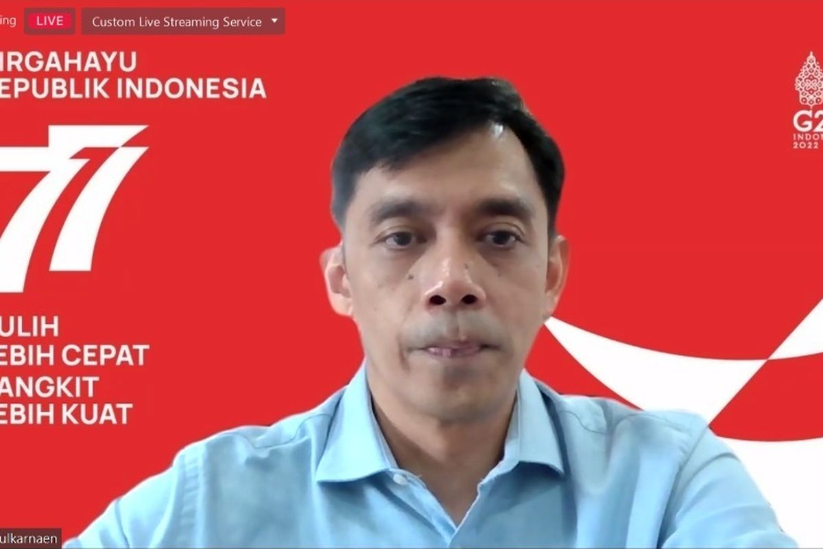 Asisten Deputi Peningkatan Daya Saing Ekonomi Kementerian Koordinator Bidang Perekonomian Ichsan Zulkarnain dalam Webinar ADB Indonesia Development Talk 8, Kamis (3/11/2022).