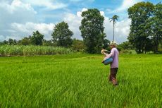 Petakan Masalah Pangan di RI, BPS Akan Lakukan Sensus Pertanian pada 2023 