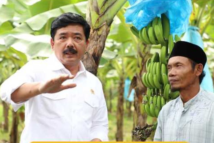 Menteri ATR/Kepala BPN, Hadi Tjahjanto melakukan peninjauan perkembangan pemanfaatan lahan redistribusi Tanah Objek Reforma Agraria (TORA) eks Hak Guna Usaha (HGU) yang telah berlangsung sejak 2019 di Kecamatan Warungkiara, Kabupaten Sukabumi, Jawa Barat.