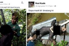 Pria Ini Dicari karena Unggah Foto Beruang Madu Terbunuh di Facebook