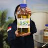 Menimbang Energi Surya Vs Biofuel Lewat 