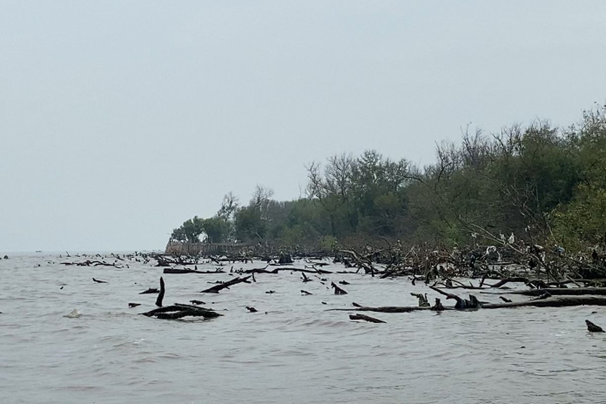 Wilayah yang diduga HGB di perairan Sidoarjo, Jumat (24/1/2025).