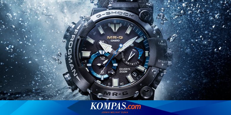 frogman analog biru