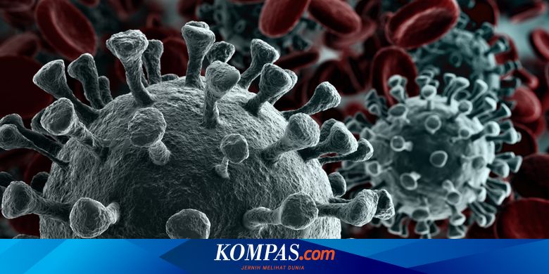Studi Baru: Protein Spike Covid-19 Bisa Mengubah Sel di Jantung - Vimarsana News