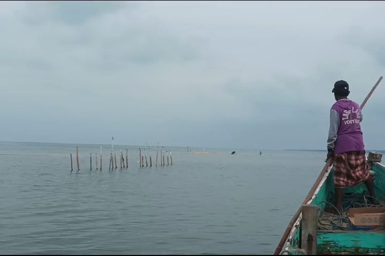 Sisa pancang bambu yang sempat ditancapkan pemilik SHM sebelum ditolak oleh warga