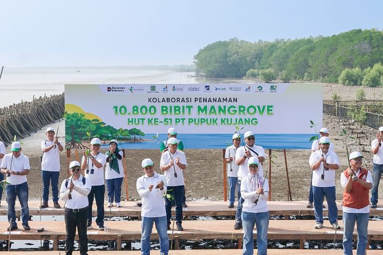 Menjaga Ekonomi Pesisir, Ekosistem Pupuk Indonesia Tanam 10.800 Mangrove