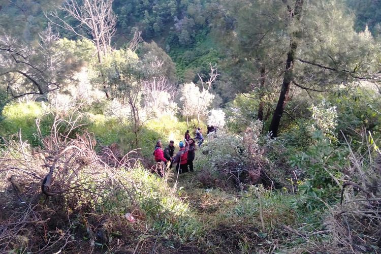 Proses evakuasi mobil jip yang jatuh ke jurang di kawasan Bukit Cinta Taman Nasional Bromo Tengger Semeru, Sabtu (10/9/2022).