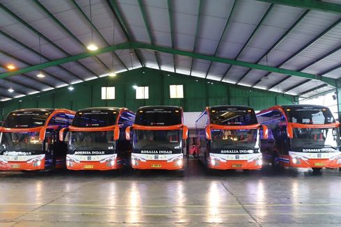 PO Rosalia Indah Rilis 5 Unit Bus Baru Pakai Bodi Skylander R22  