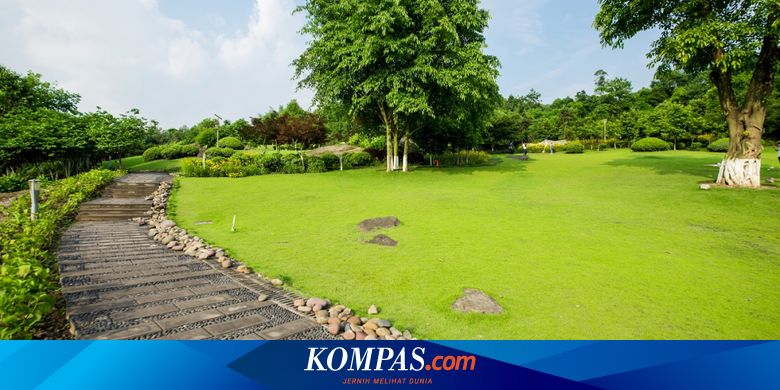 Semua Taman Umum di Tangsel Ditutup Selama PPKM Darurat - Vimarsana News