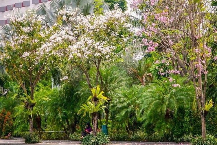 Pemandangan di Taman Apsari, salah satu tempat wisata Surabaya yang bisa dikunjungi.