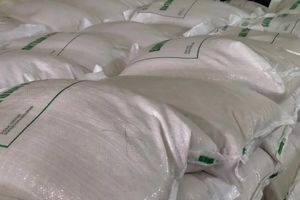 33,24 Juta Keluarga Terima Bantuan Beras 30 Kg Mulai 17 Agustus